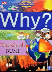 Image of WHY? BUMI